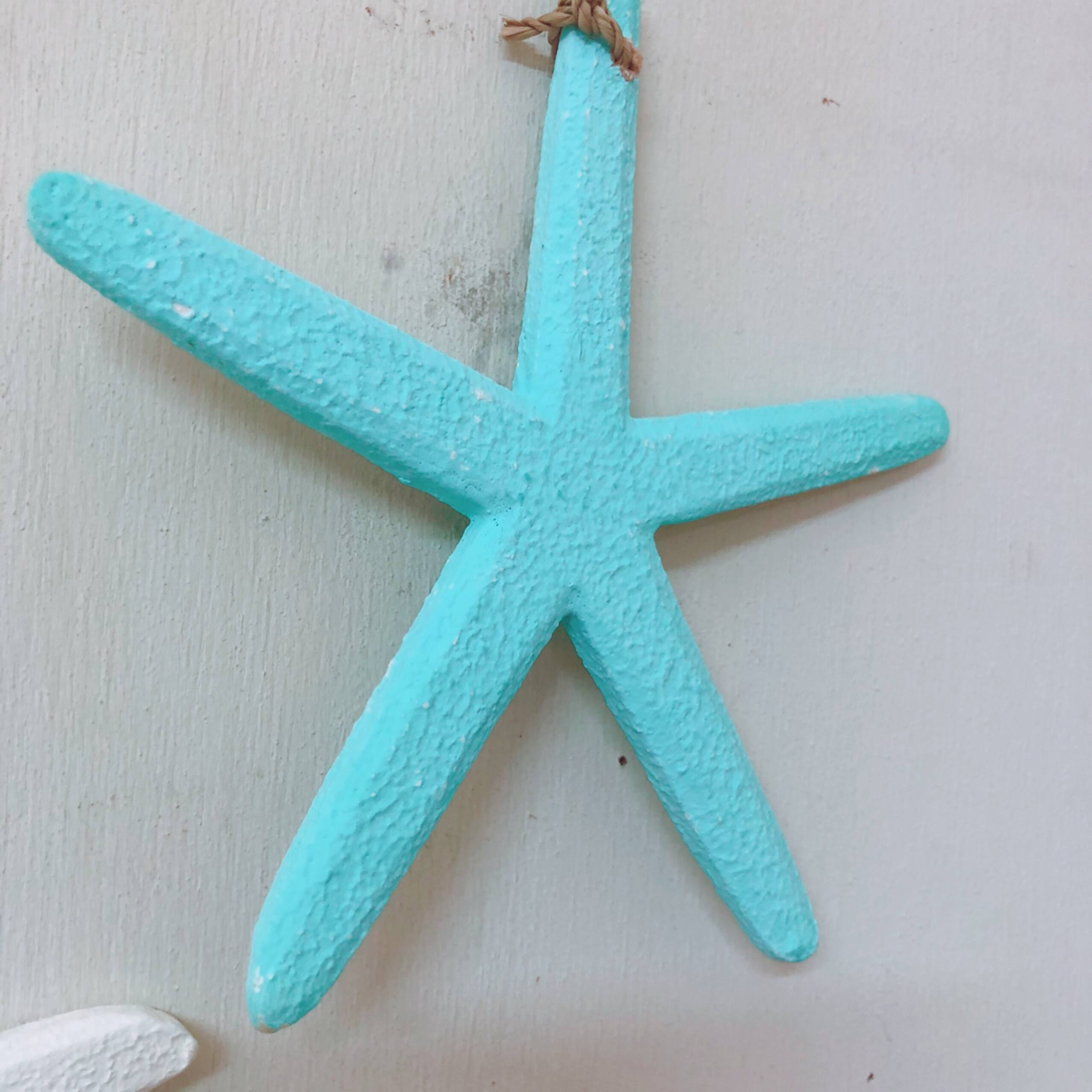 STARFISHBEACH OBJECT