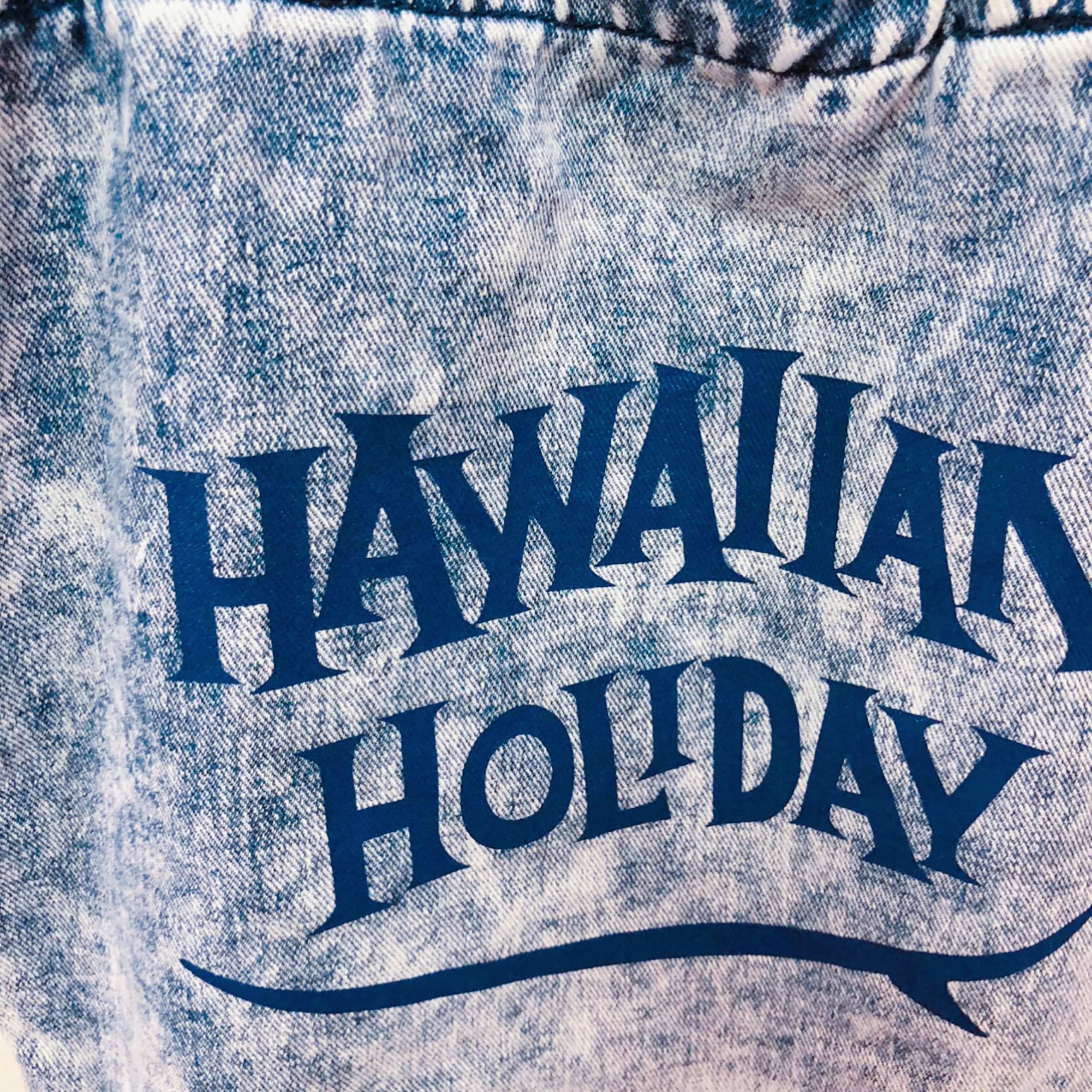 Hawaiian Holiday g[gobOM