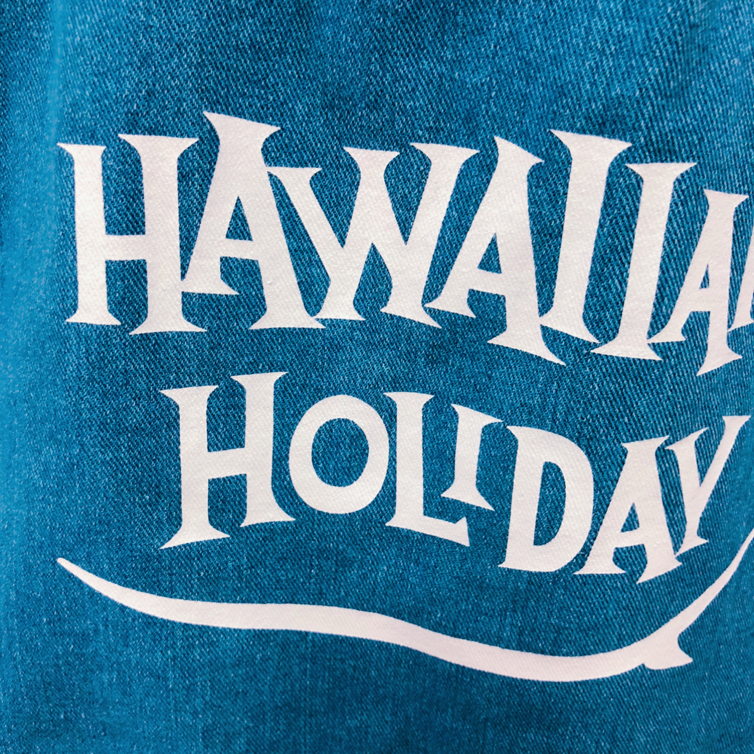 Hawaiian Holiday g[gobOM